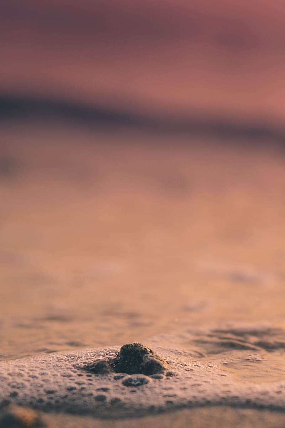 water waves bubbles, selective focus photo of stone surrounded of water during golden hour HD wallpaper
