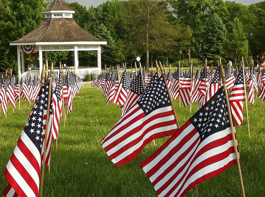 selective focus photography of inline America flags, american HD wallpaper