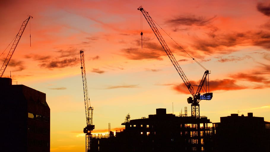 silhouette of three canes under golden hour, sunrise, construction HD wallpaper