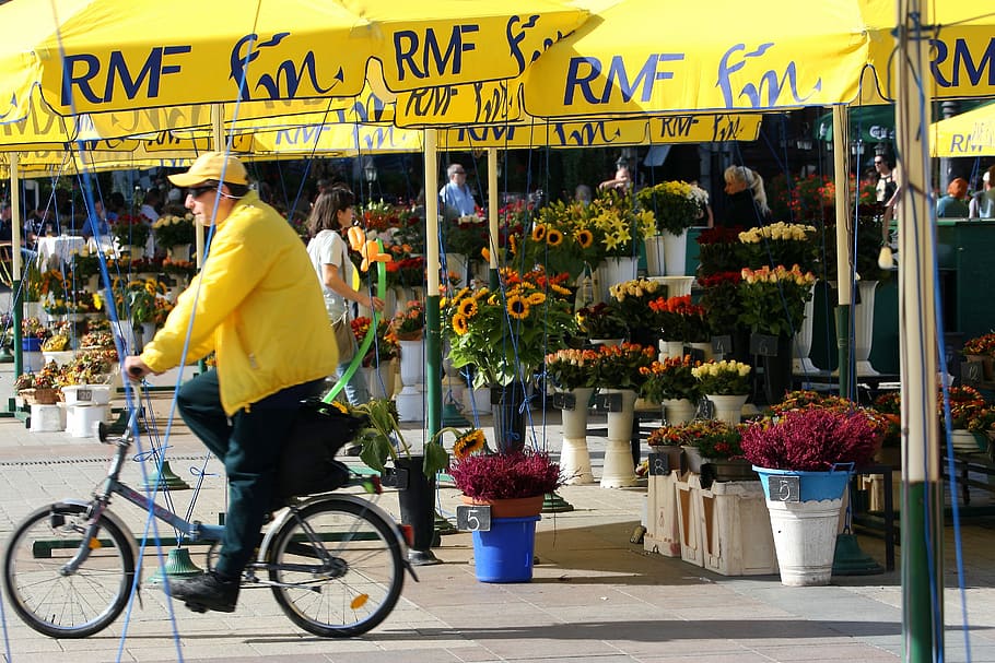 Cycler, Flower Seller, City Square, krakow, poland, yellow awning