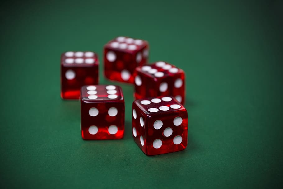 five red and white dices, cube, gamble, gambling, risk, casino