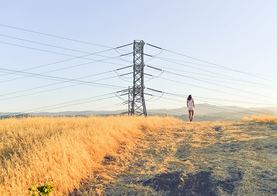 woman, walking, field, model, power lines, public domain images HD wallpaper