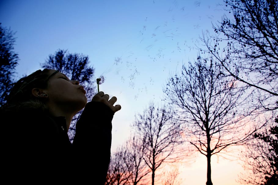 woman blowing bubbles near leafless trees, people, outdoors, nature HD wallpaper