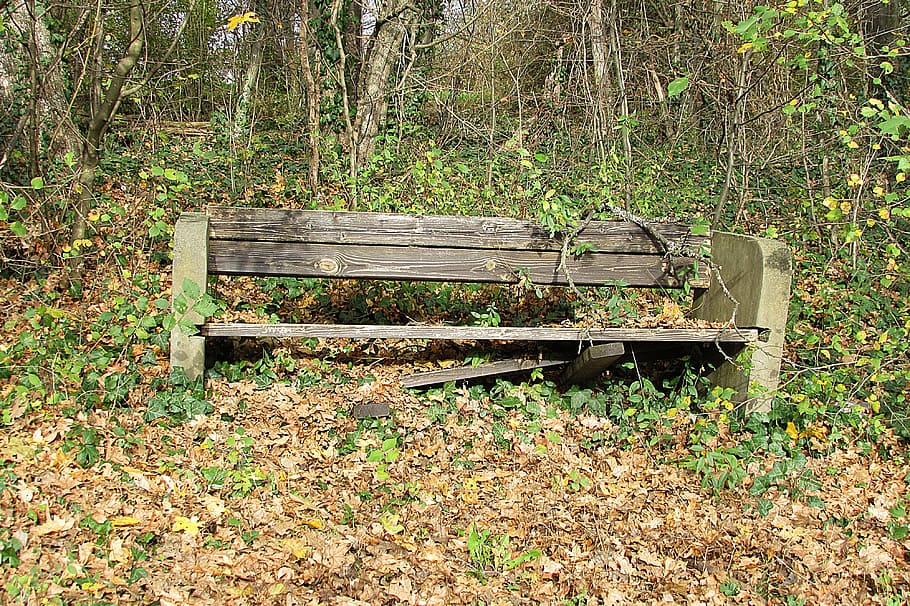 old bench, lapsed, park bench, seat, forest, tree, plant, land HD wallpaper