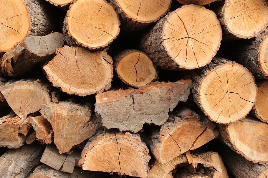 tree, forest, the bark, timber, log, wood, full frame, firewood HD wallpaper