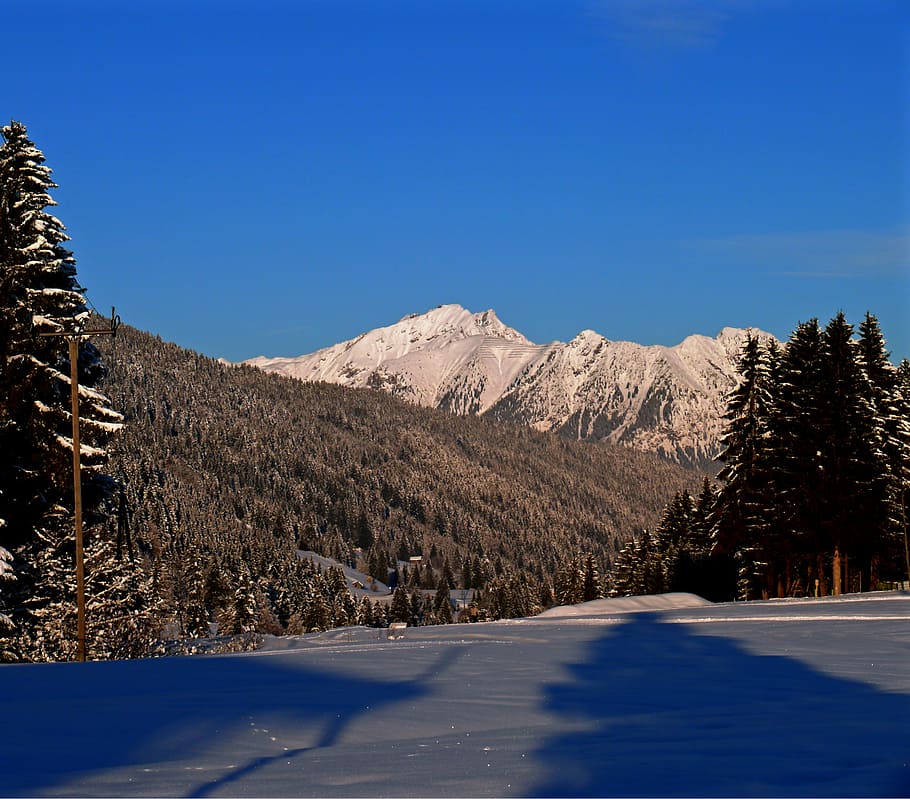 snow tracks, traces, cold, ice, winter, snow lane, wintry, reprint HD wallpaper