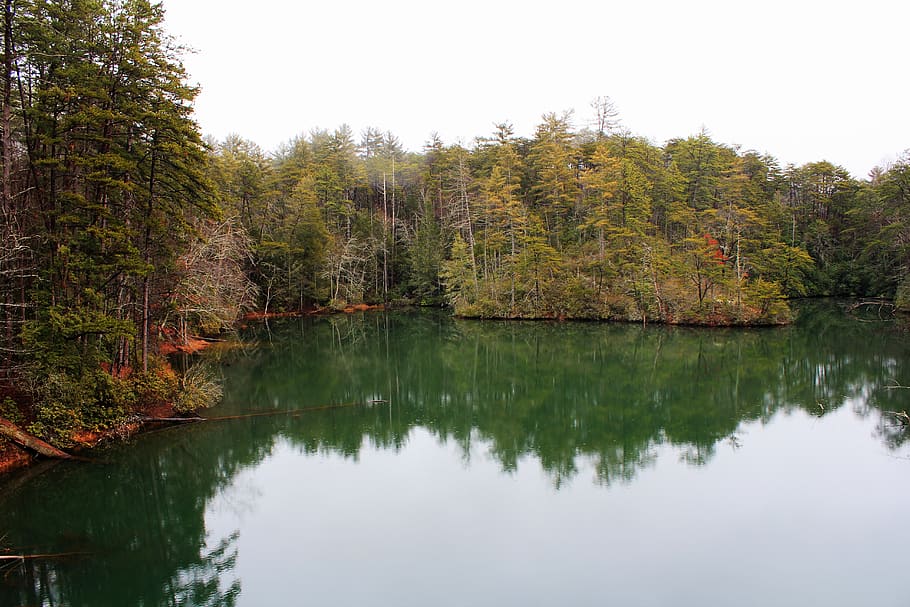 water, nature, lake, reflection, tree, tranquility, tranquil scene HD wallpaper