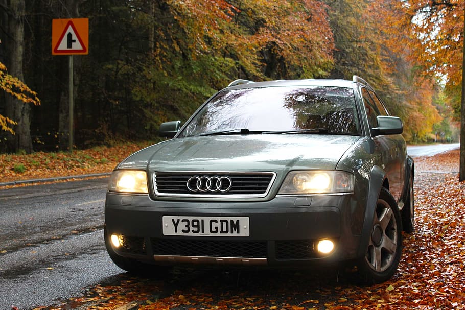 audi, a6, avant, leaves, transportation, mode of transportation HD wallpaper