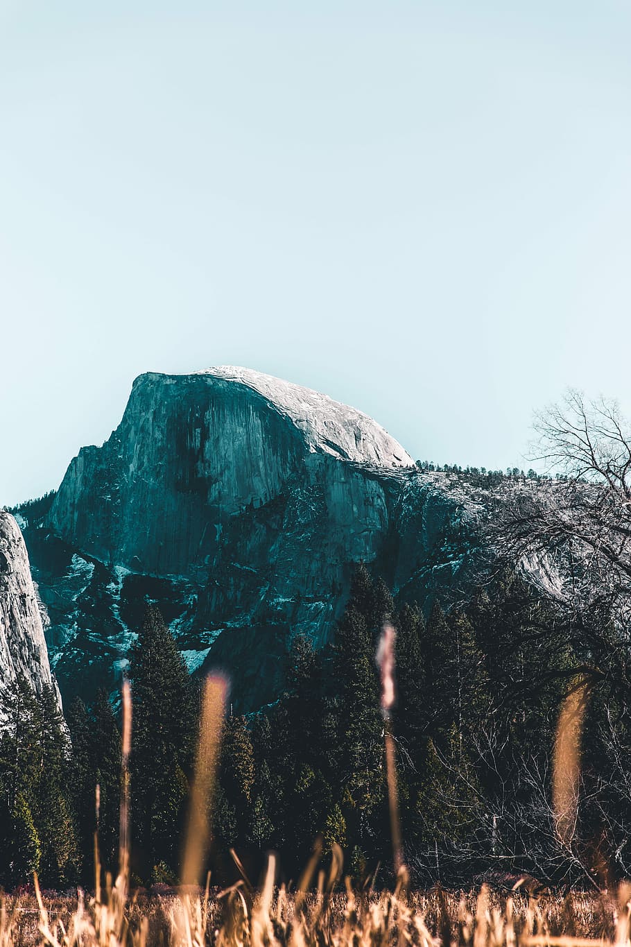 mountain near bare tree, rock, cliff, snow, woodland, sky, nature HD wallpaper