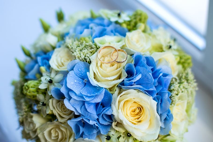 two gold-colored rings on roses and hydrangeas bouquet, wedding HD wallpaper