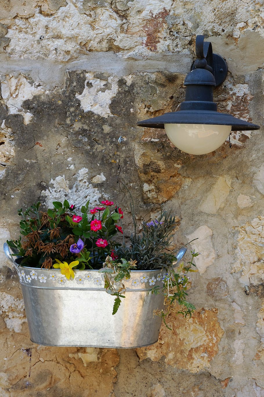 external, wall, decoration, flowers, outdoor, wall light, flowering plant HD wallpaper