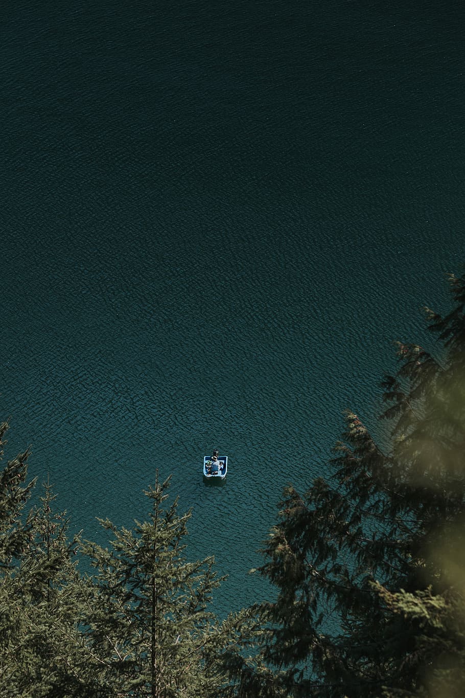 bird's eye view of person on boat on calm body of water, person riding boat on body of water near trees HD wallpaper