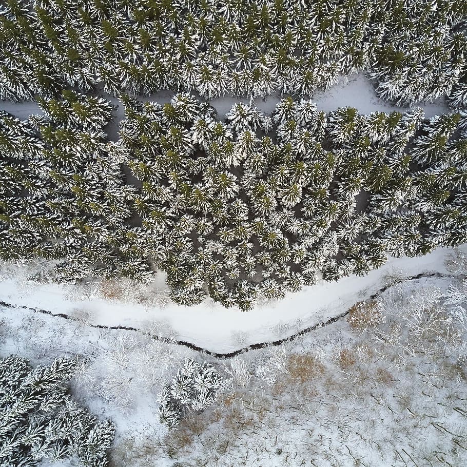aerial view of land with pine trees covered by snow, aerial photography of green leaf trees