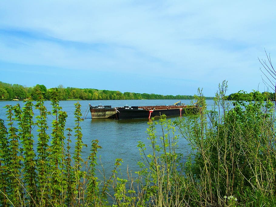 barges, danube, mohács, water, plant, sky, nature, nautical vessel HD wallpaper
