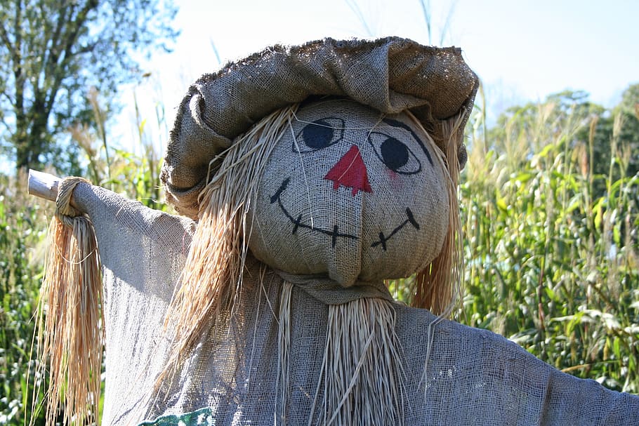 scarecrow, fall, straw, jute, representation, day, focus on foreground HD wallpaper