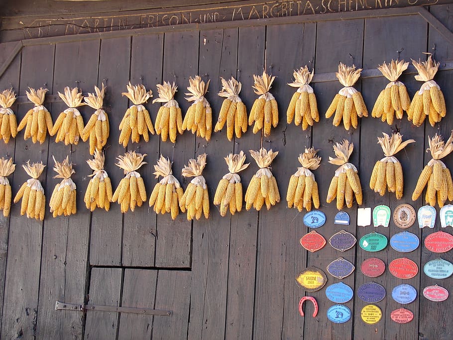 corn, barn, alsace, large group of objects, no people, variation HD wallpaper