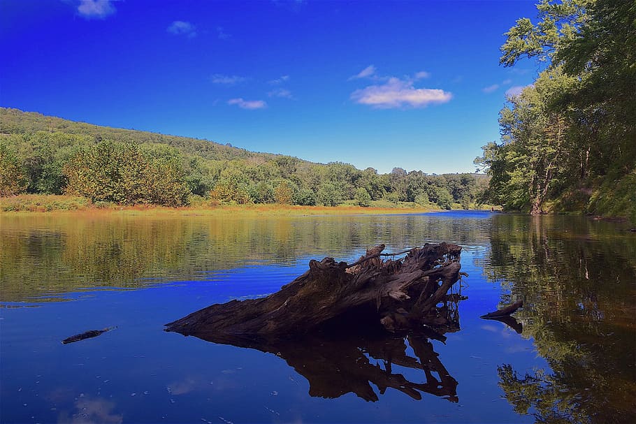lake during daytime, River, Water, Sky, Nature, Landscape, outdoor HD wallpaper