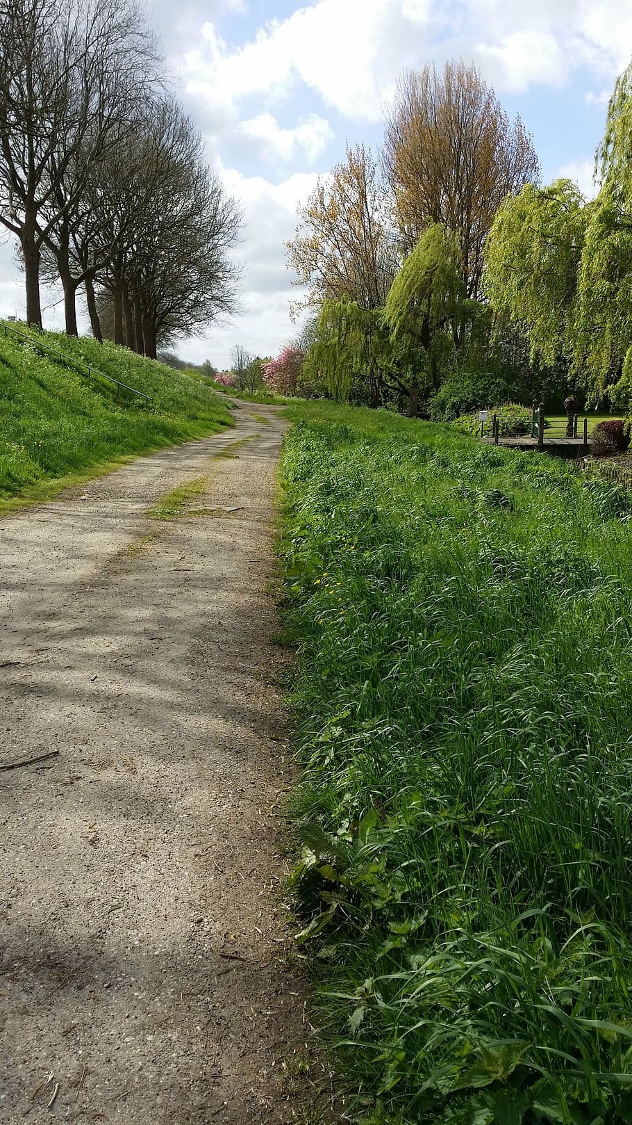 nature, path, beauty, road, tree, footpath, outdoors, plant HD wallpaper