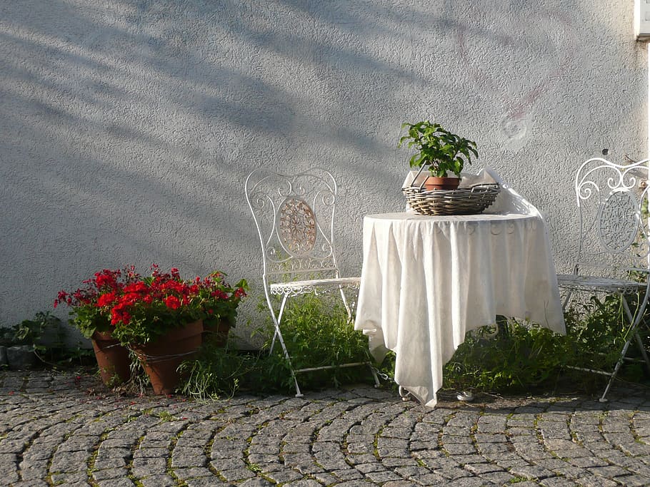 white wrought iron 3-piece patio set near red petaled flowers HD wallpaper
