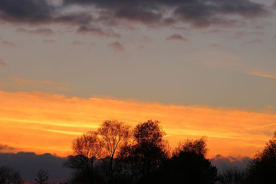 Nature, Sun, Landscape, Sunset, Autumn, trees, clouds, silhouette HD wallpaper