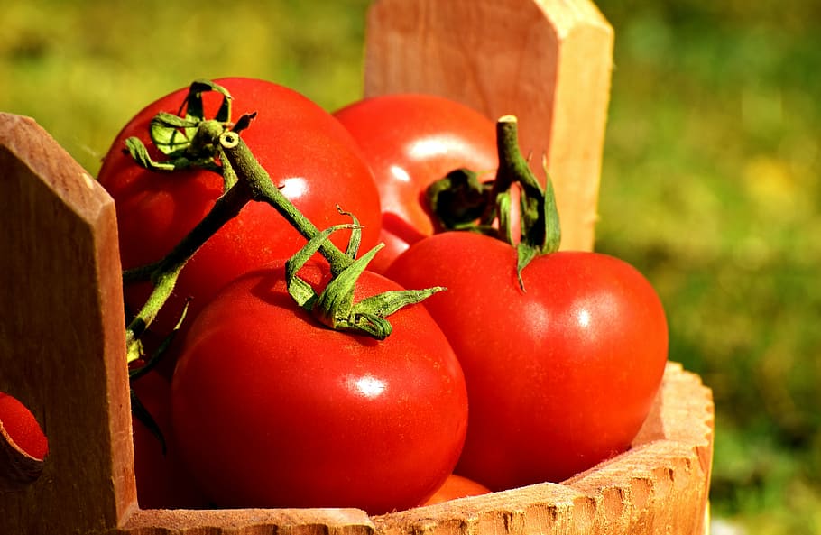 red tomatoes on brown surface, vegetables, bucket, ripe, healthy HD wallpaper