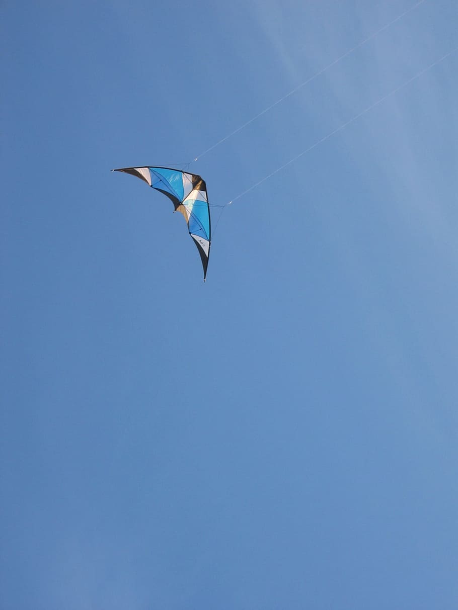 Dragon, Sky, Blue, Blue, Wind, Steering, steering dragon, fly HD wallpaper