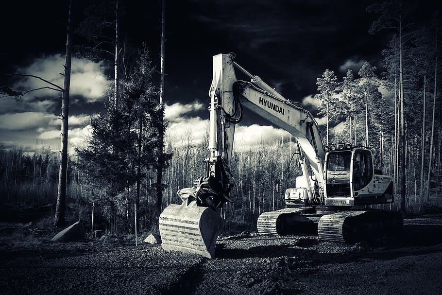 excavator, forest, construction machine, black and white, the device