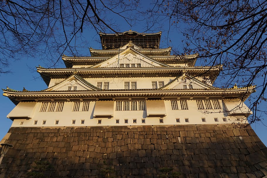 brown concrete building near tree, Japan, Castle, Osaka, architecture HD wallpaper
