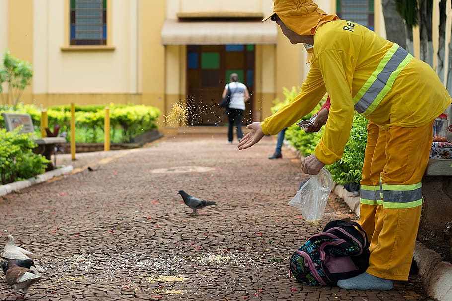 worker, dove, square, people, street, outdoors, men, real people HD wallpaper