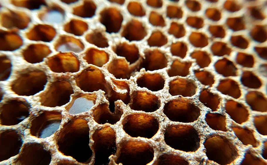 honeycomb, design, pattern, texture, shapes, natural, bees HD wallpaper