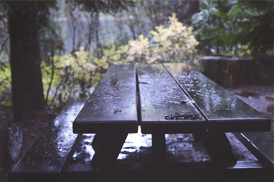 picnic table, wood, raining, tree, plant, day, wood - material HD wallpaper