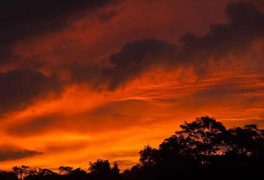 Sunset, Red, Orange, Clouds, sky, horizon, trees, australia HD wallpaper