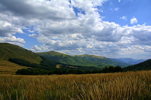bieszczady, tarnica, beech berdo, mountains, the silence, poland HD wallpaper