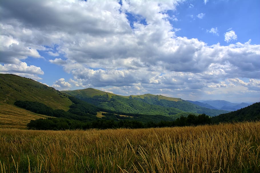 bieszczady, tarnica, beech berdo, mountains, the silence, poland HD wallpaper