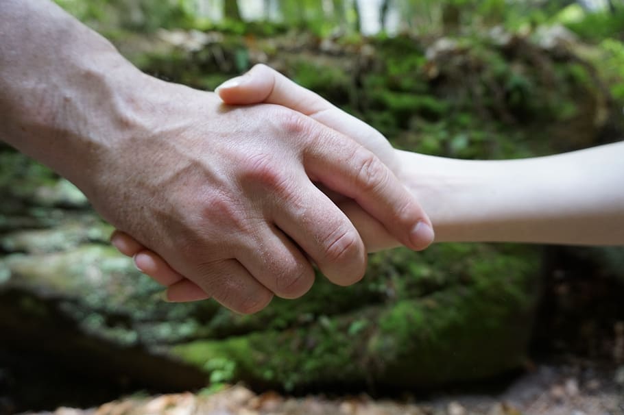 hand shake, human hand, human body part, two people, togetherness HD wallpaper