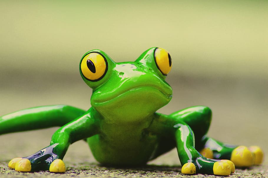 frog, funny, figure, cute, animal, green, sweet, frog eyes HD wallpaper
