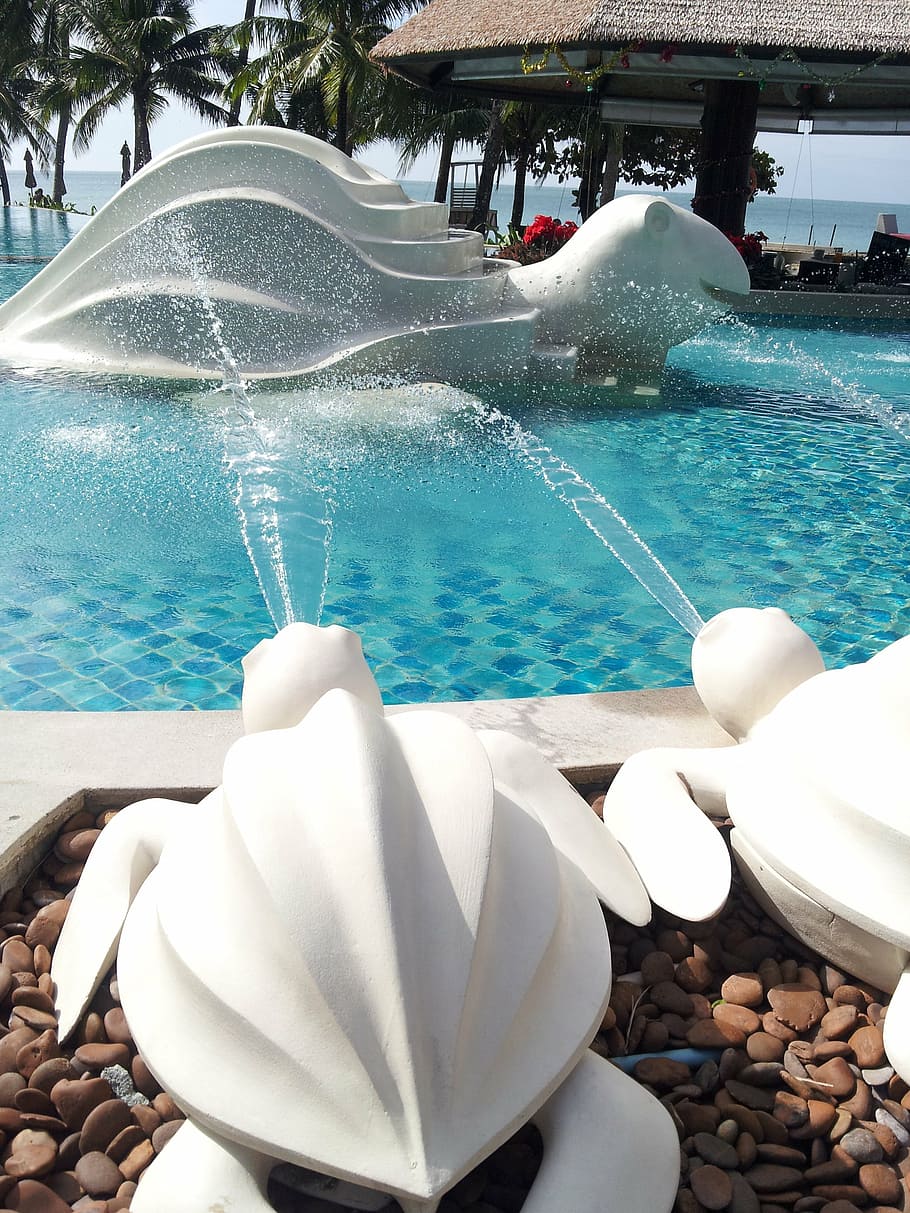 fountain, pool, tortoise, park decorations, vacation at sea HD wallpaper