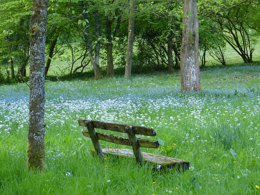 brown bench on grass field, bank, meadow, nature, landscape, mood, HD wallpaper