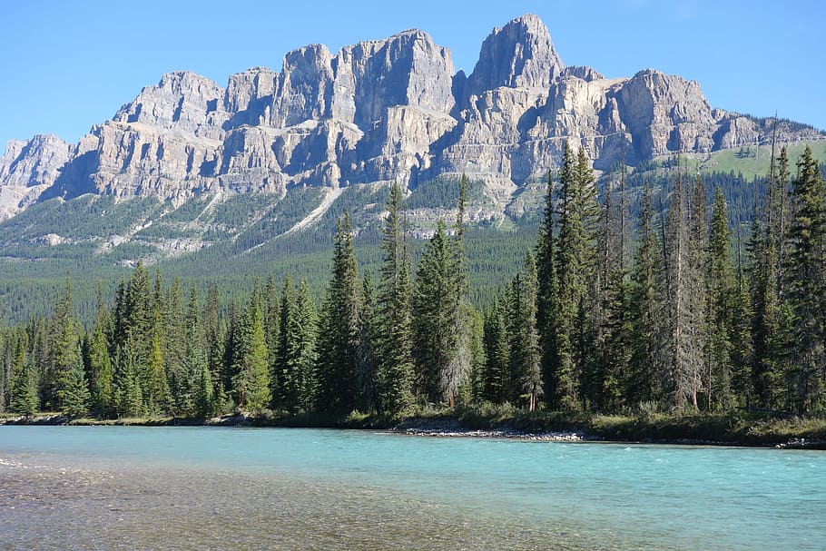 canada, banff, mountains, river, forest, landscape, water, nature HD wallpaper