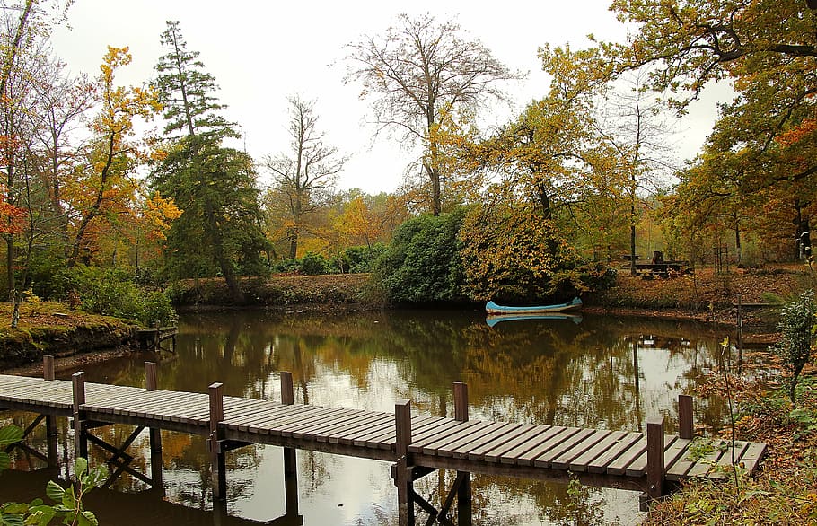 pond, web, canoeing, nature, lake, water, landscape, waters HD wallpaper