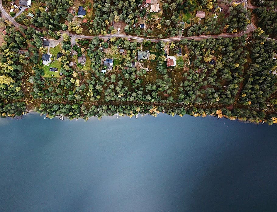 aerial photo of a city, aerial photography of trees, lands, and houses HD wallpaper