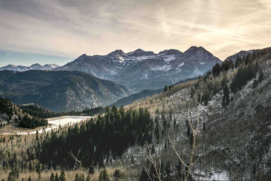 rocky mountains surrounded with trees and plants, green trees on brown mountain HD wallpaper