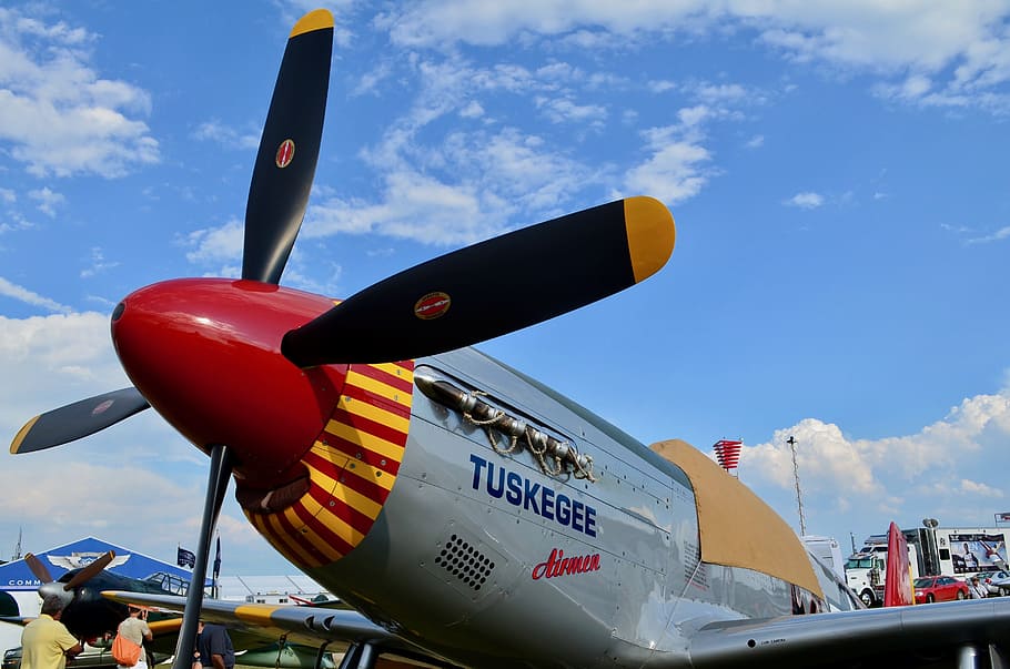 P-51, Mustang, Mustang, Fighter, Tuskegee, Plane, military, HD wallpaper