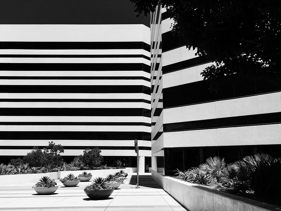gray scale photography of building, grayscale photography of building HD wallpaper