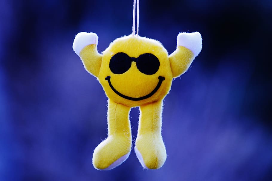 smiley, keep smiling, funny, laugh, are, sweet, cheerful, animal HD wallpaper