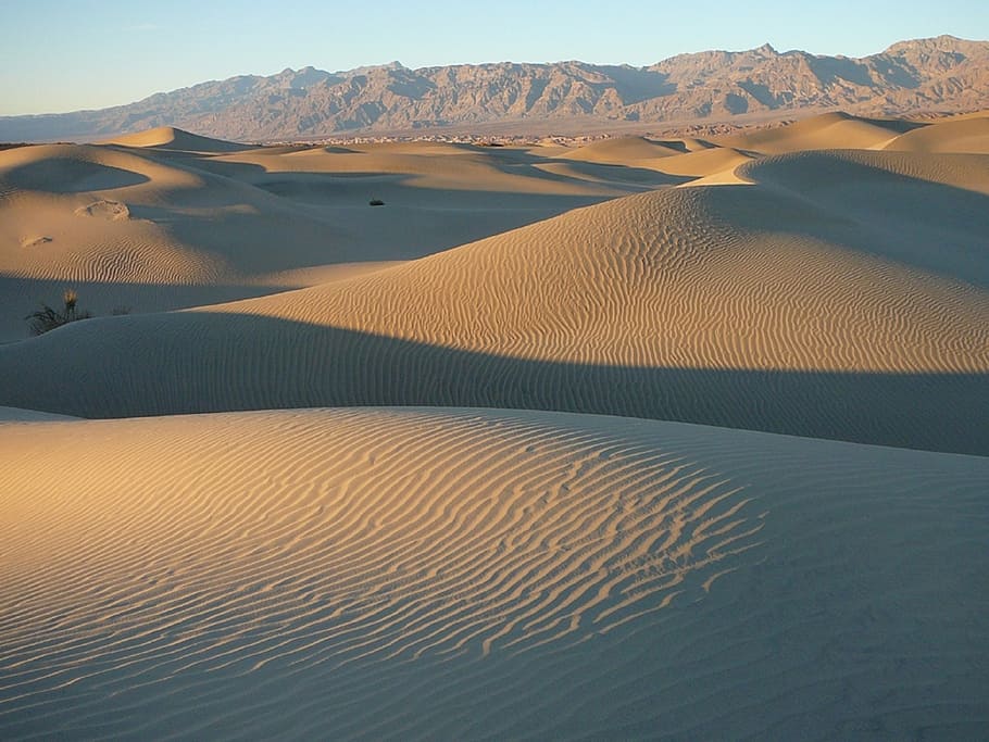 open desert at daytime, dunes, sand, death valley, landscape