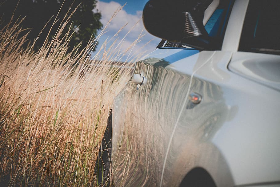 white vehicle beside brown grass at daytime, closeup photography of vehicle side door near grass HD wallpaper