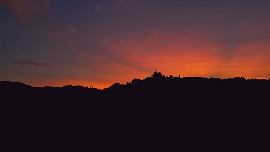 sunset, nature, vineyards, sky, landscape, evening sun, silhouette HD wallpaper
