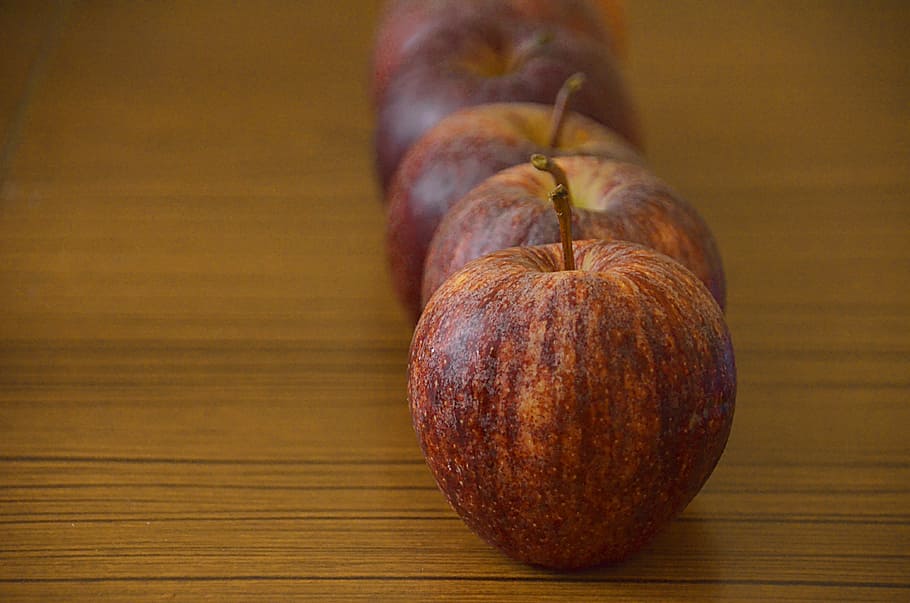 apples, fruit, orchard, power, flavor, tree, fruit trees, harvest HD wallpaper