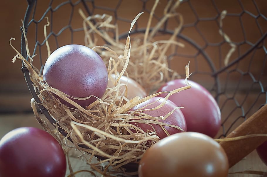 raw eggs in nest, easter eggs, colorful, colored, custom, customs HD wallpaper